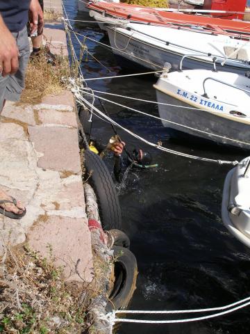 ΥΠΟΒΡΥΧΙΑ ΣΚΟΥΠΙΔΙΑ. ΕΥΚΟΛΑ ΠΕΦΤΟΥΝ ΣΤΗ ΘΑΛΑΣΣΑ. ΔΥΣΚΟΛΑ ΒΓΑΙΝΟΥΝ.